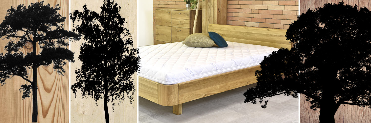 Postele podľa materiálu: Nechajte na svojej posteli vyniknúť krásu masívneho dreva. Ktoré si vyberiete? Majestátny dub, nežnú brezu alebo praktickú borovicu?